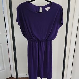 Elegant Purple Dress